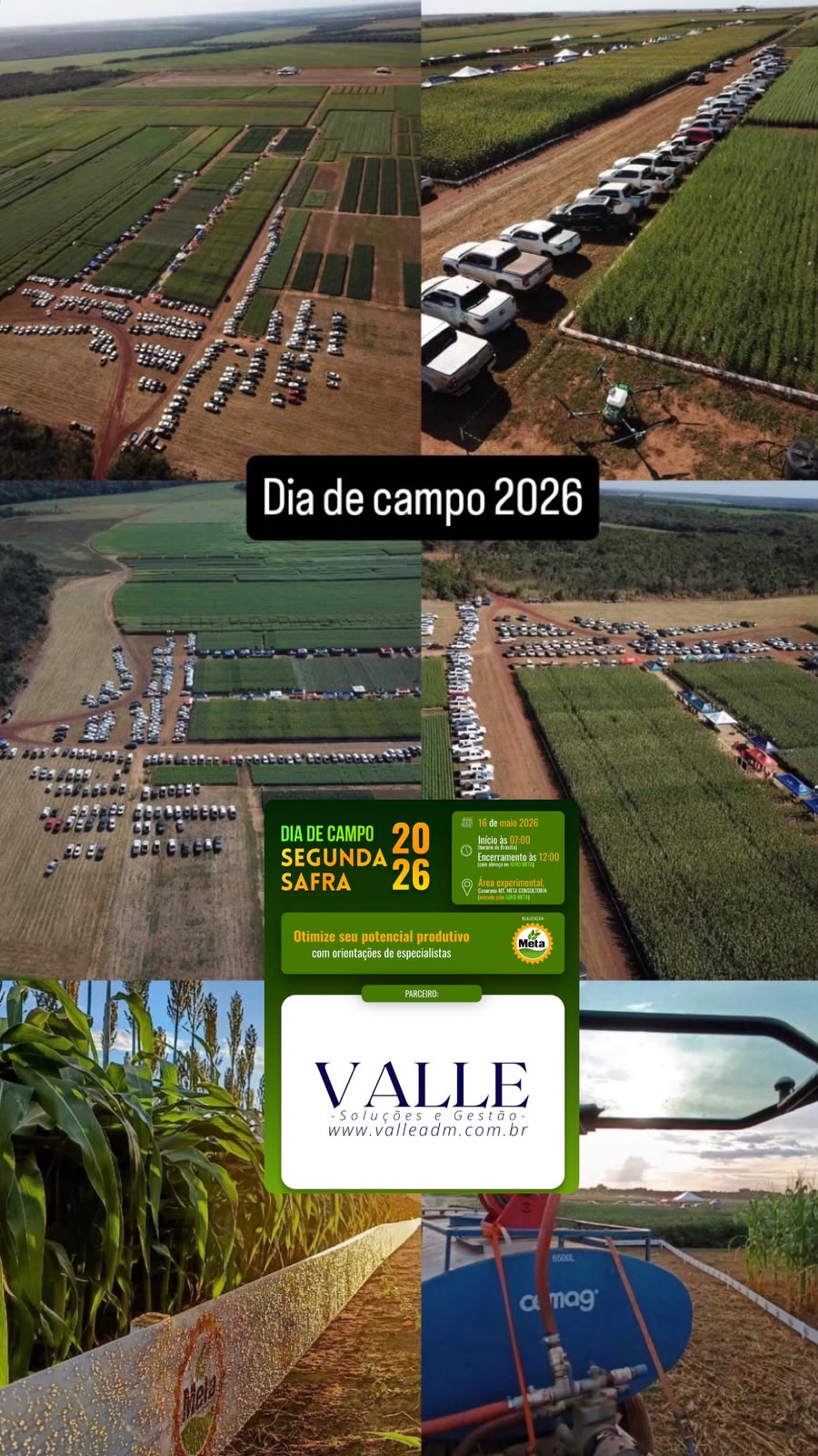 Dia de campo